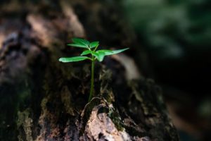 Leia mais sobre o artigo Ano Novo, Igual?